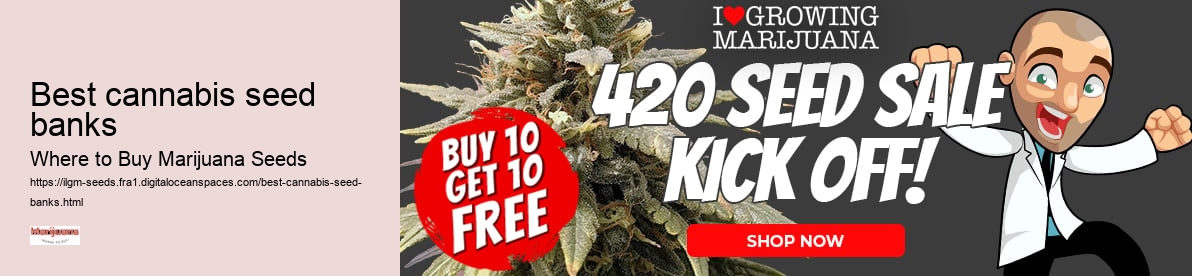 best cannabis seed banks