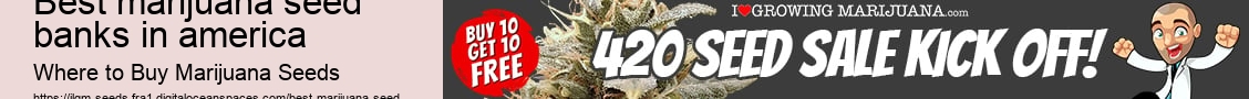 best marijuana seed banks in america