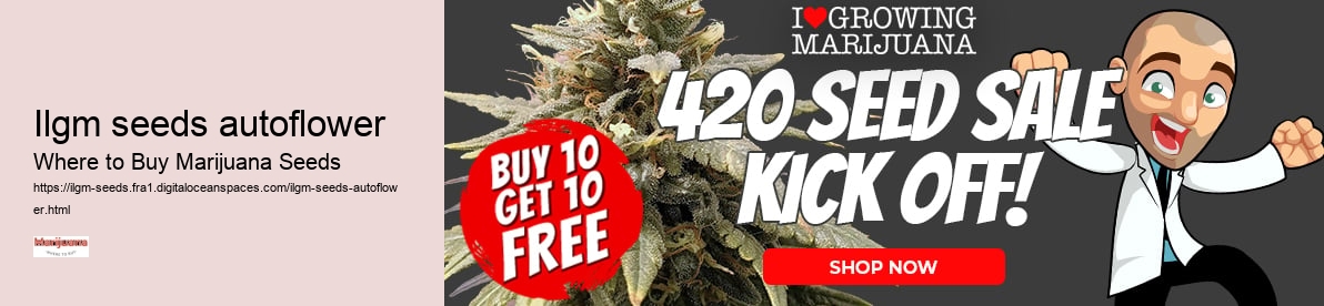 ilgm seeds autoflower