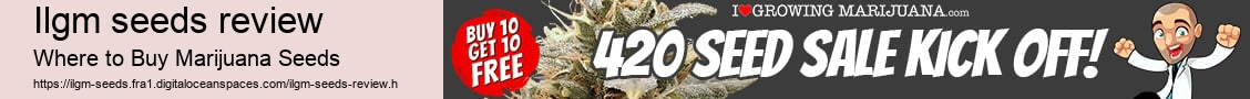 ilgm seeds review