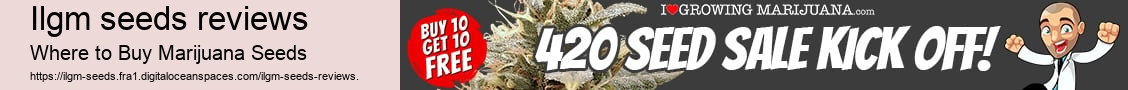 ilgm seeds reviews